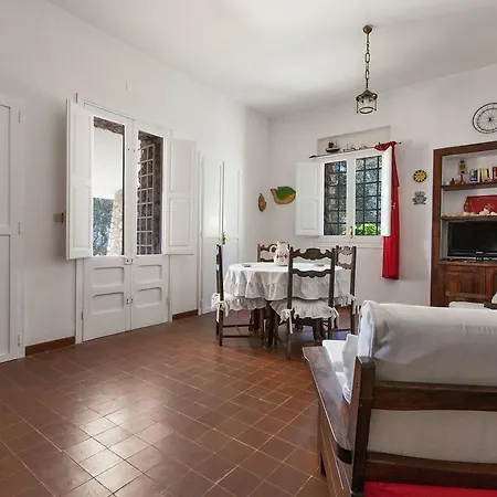 Pajara Di Francesca *