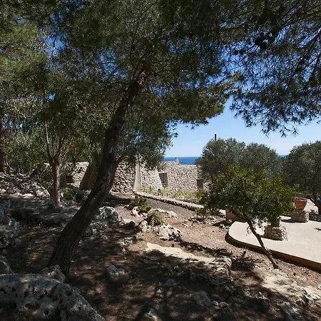 Pajara Di Francesca