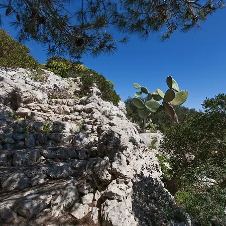 Pajara Di Francesca Vakantiehuis *